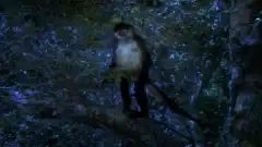 Звездный путь: Вояджер 2 сезон 25 серия